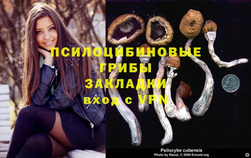 Псилоцибиновые грибы Psilocybe  hydra как зайти  Анива 